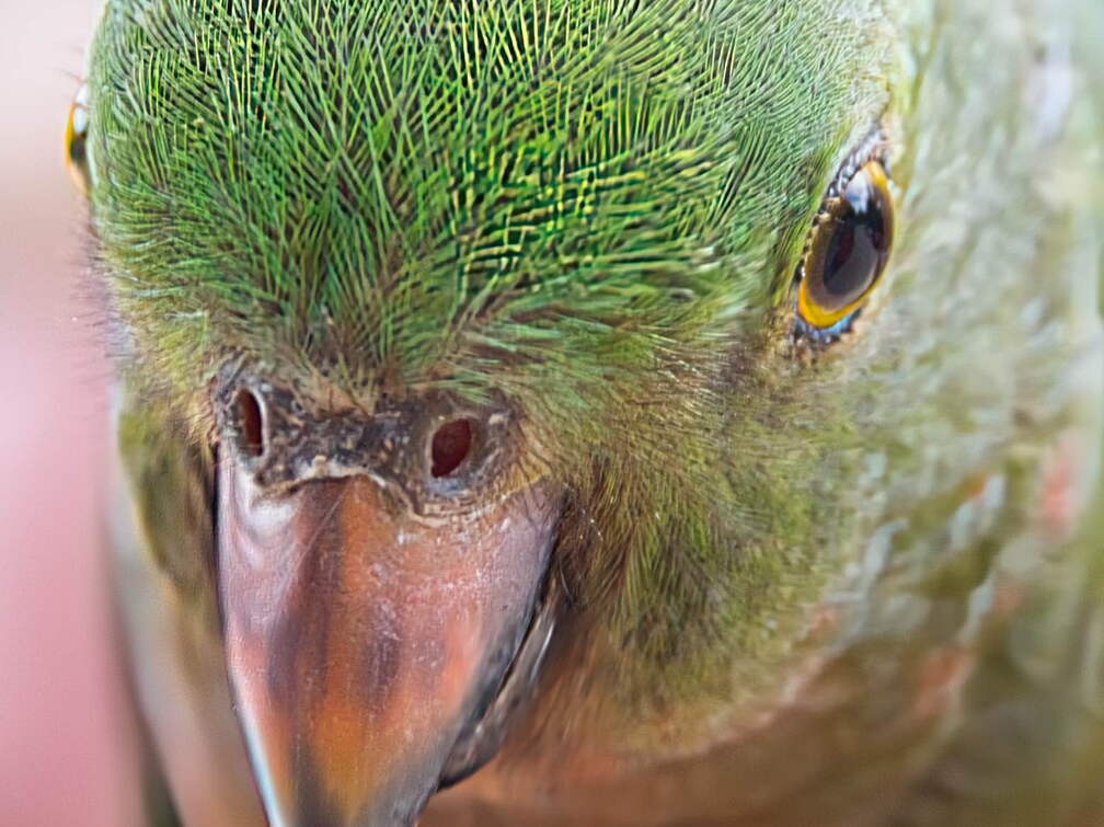 Australien 20140115 0908 Kopie